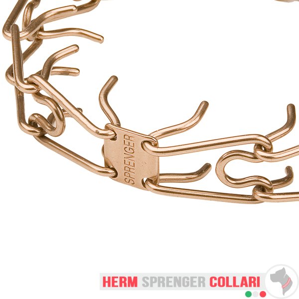 "Aggression Hunter" Collare a punta in curogan con martingala (4 mm x 65 cm)