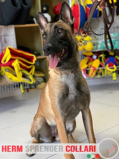 Collare salvapelo in curogan modello HS11