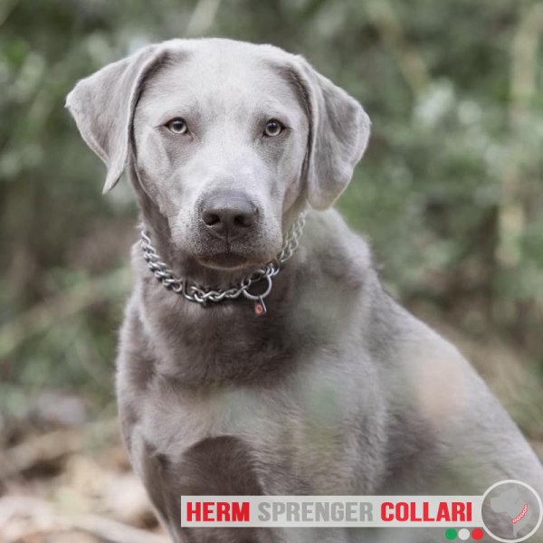 "Manners Maker" Collare a catena in acciaio inox a doppia fila - 3.0 mm