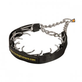 prong collar leash