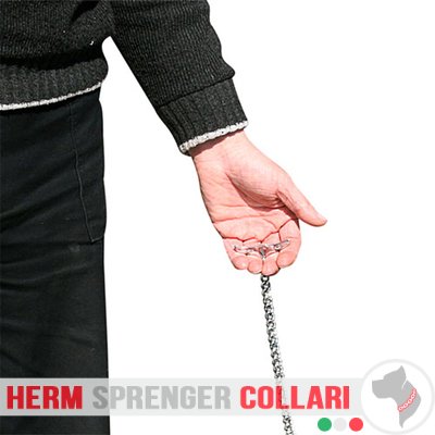 "Taming Force" Collare a catena piatta cromato a maglie corte con alamaro - 3.0 mm