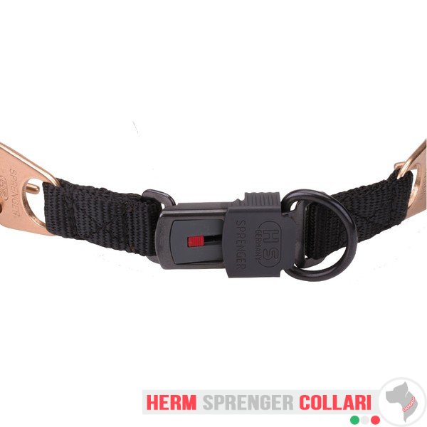 "Aggression Buster" Collare a punta in curogan con fibbia a scatto (4 mm x 60 cm)