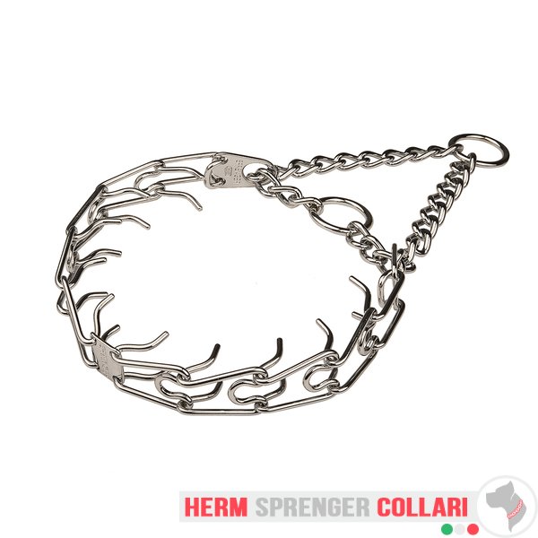 using a pinch collar for dog training