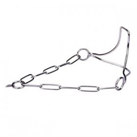 "Heads-Up" collare da esposizione in acciaio inox - 3.0 mm