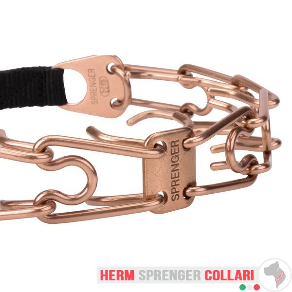 "Aggression Buster" Collare a punta in curogan con fibbia a scatto (4 mm x 60 cm)