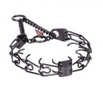 "Obedient Doggy" Collare a punta in acciaio inox nero con martingala (2,25mm x 41cm)