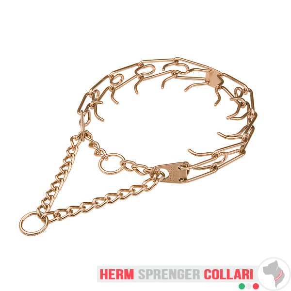 "Aggression Hunter" Collare a punta in curogan con martingala (4 mm x 65 cm)