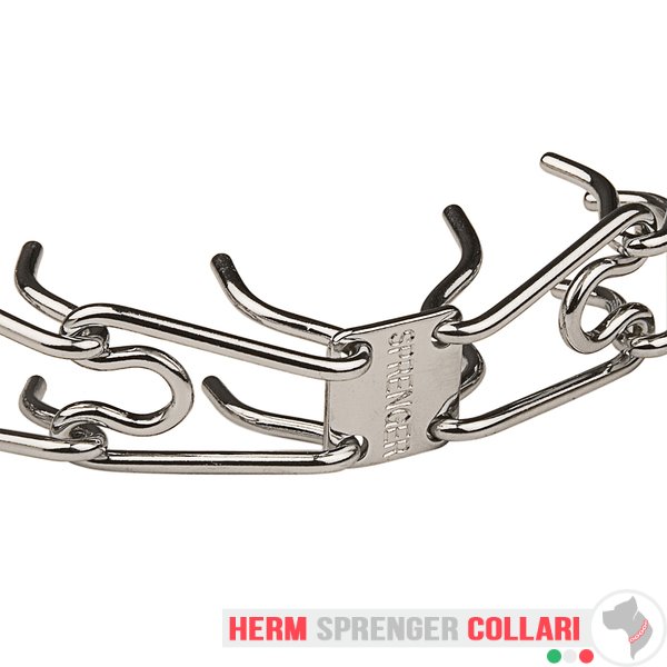 "Doggy Pal" Collare in acciaio cromato con martingala (4 mm x 65 cm)