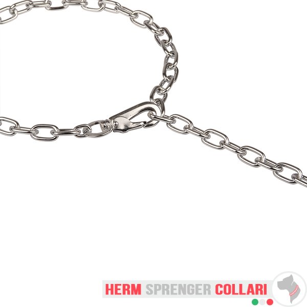 "Hook Time" Collare a catena cromato a maglie medie con moschettone - 3.0 mm