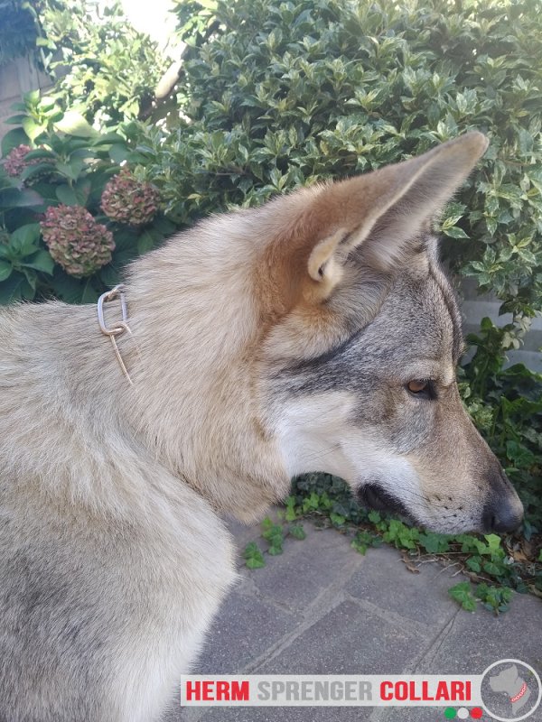 Collare salvapelo in curogan modello HS11