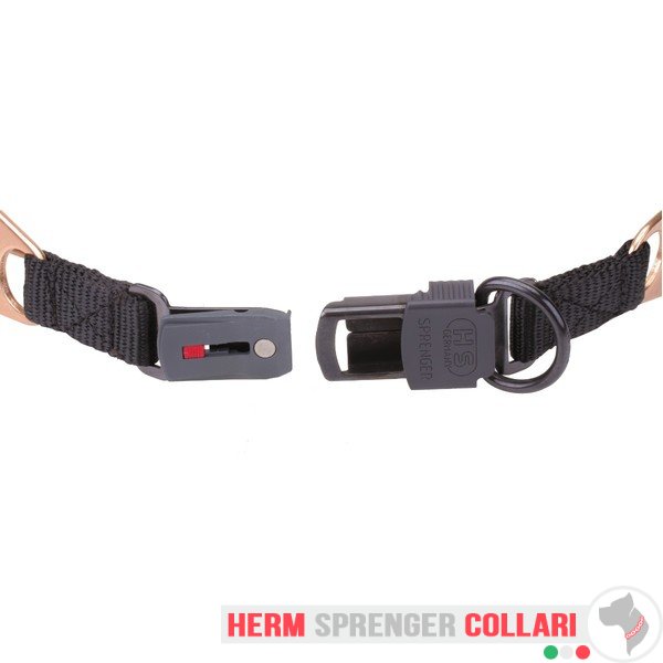 "Aggression Buster" Collare a punta in curogan con fibbia a scatto (4 mm x 60 cm)