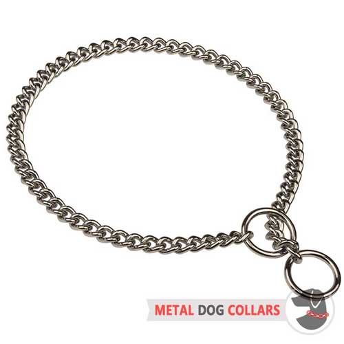 Chrome Plated Choke Dog Collar