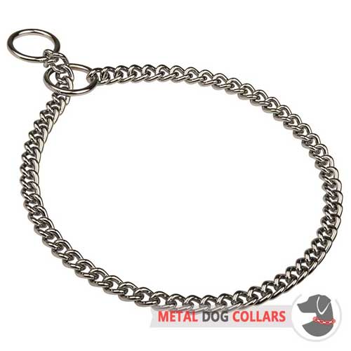 Chrome Plated Choke Dog Collar